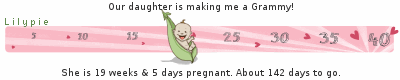Lilypie Pregnancy tickers